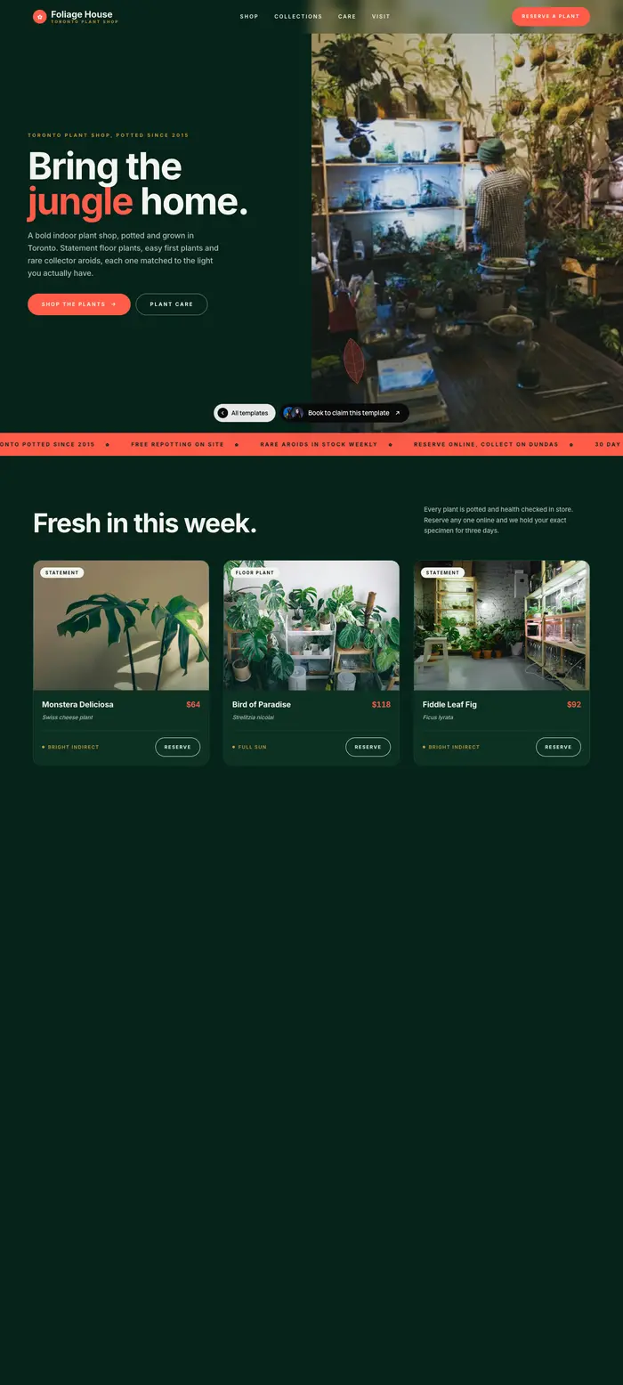 A plant shop: bring the jungle home, in deep green with a fresh-this-week grid