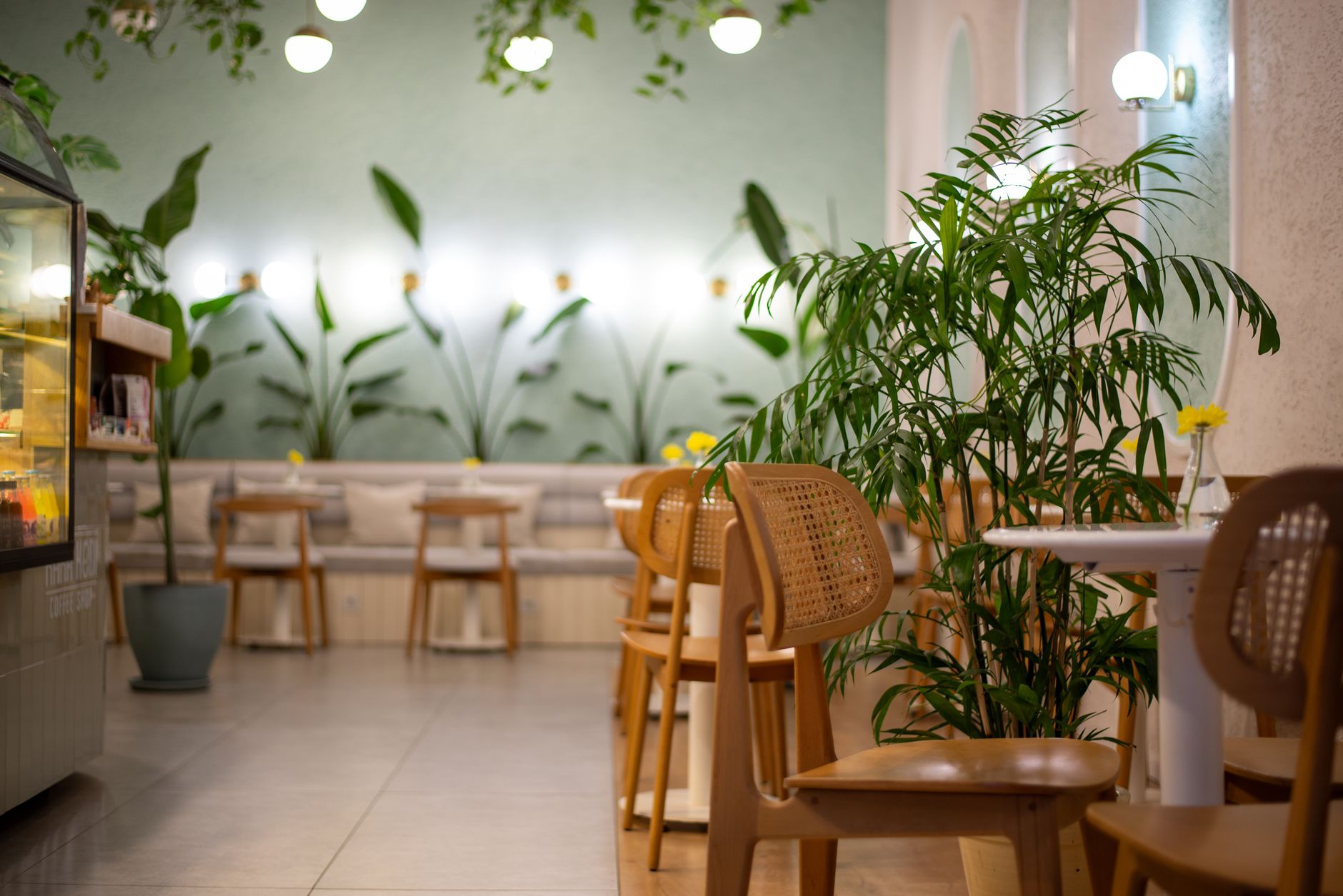 Casa Verde interior